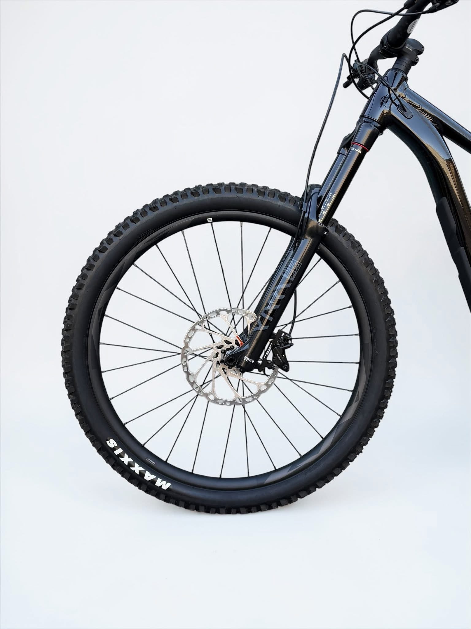 Large - GIANT REIGN 2 29