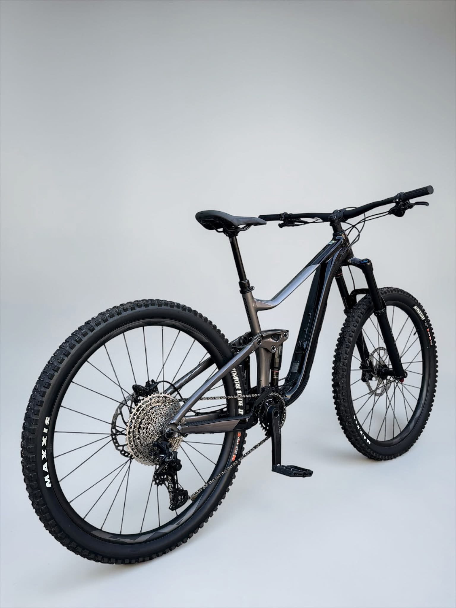 Large - GIANT REIGN 2 29