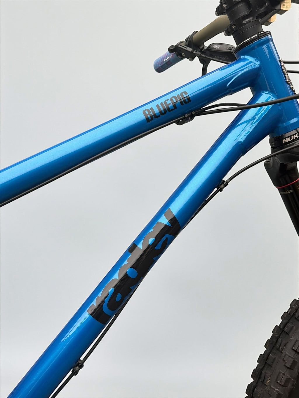 XL - Ragley Bluepig
