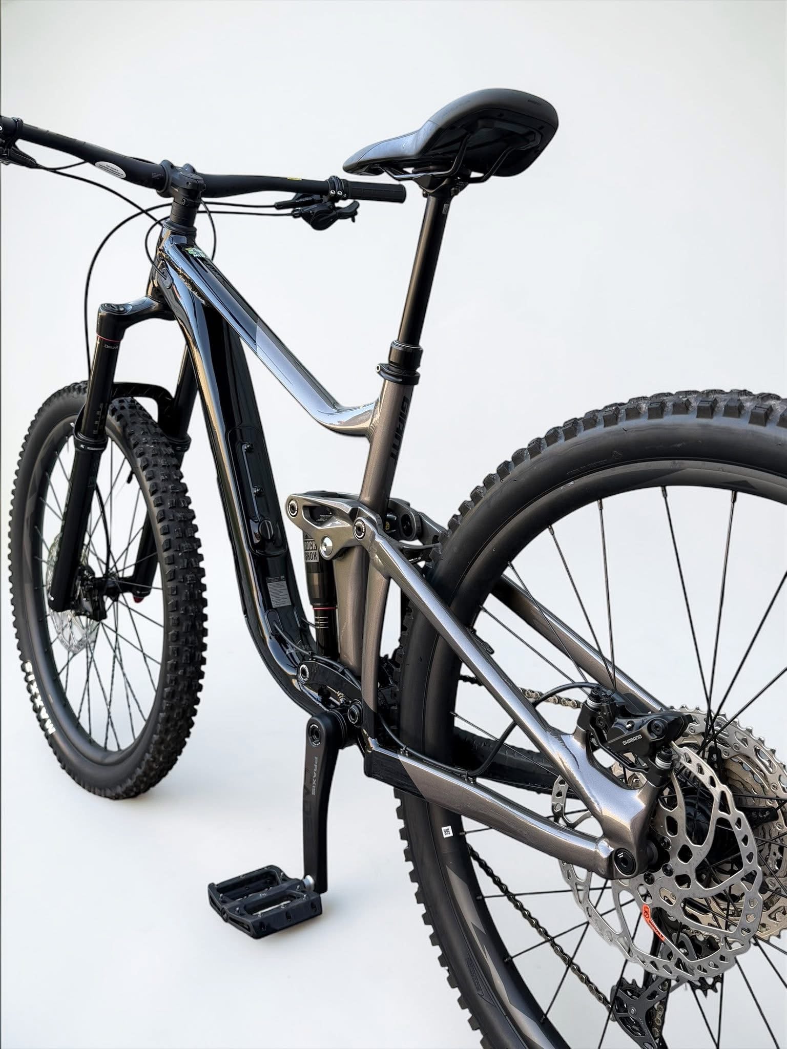 Large - GIANT REIGN 2 29