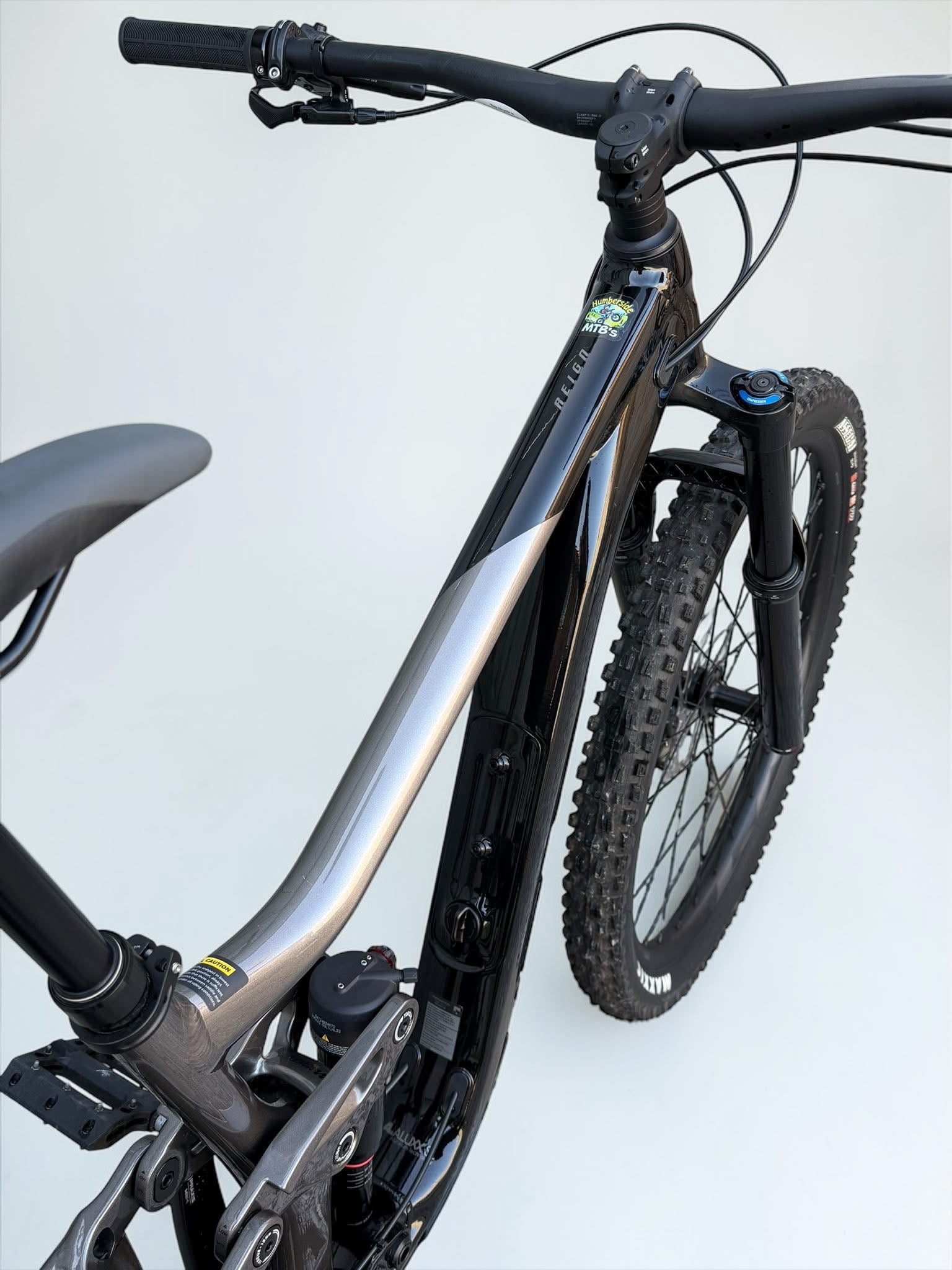 Large - GIANT REIGN 2 29